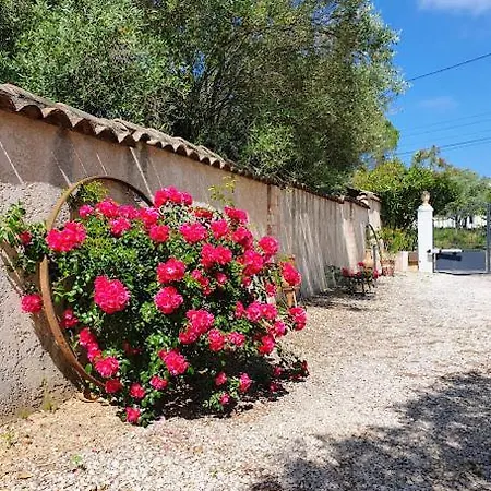 De L'hacienda 2 *